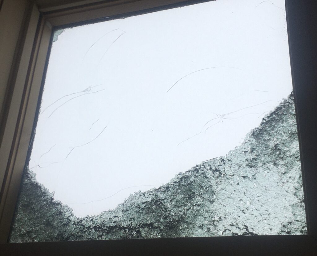 OUR PATENTED GUARDS HIPPO® SKYLIGHT GUARDS